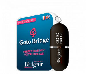 Clé USB Goto Bridge